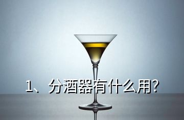 1、分酒器有什么用？