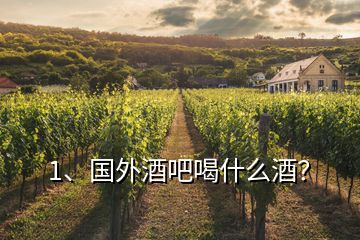 1、國(guó)外酒吧喝什么酒？