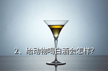 2、給動物喝白酒會怎樣？