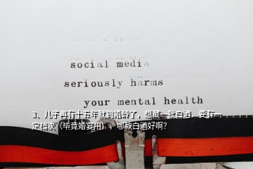 3、兒子再有十五年就到婚齡了，想藏一批白酒，要有一定檔次（畢竟婚宴用），哪款白酒好啊？