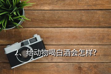 2、給動物喝白酒會怎樣？