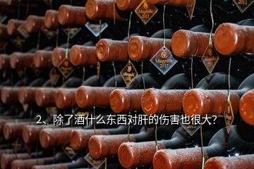 2、除了酒什么東西對肝的傷害也很大？