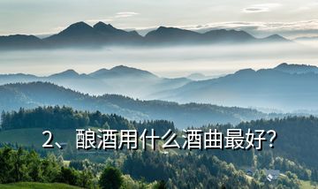 2、釀酒用什么酒曲最好？