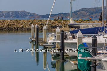 1、第一次喝醉酒是在什么情況下，還記得什么感覺(jué)嗎？