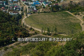 1、做白酒代理怎么樣？新手怎么操作？