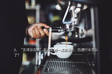 2、“五洋汾古郎”五大名酒一窩蜂漲價(jià)，白酒行業(yè)怎么了？