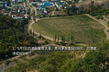 1、5月7日白酒股集體大漲，貴州茅臺重回700元，白酒板塊如何分析？