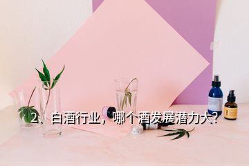 2、白酒行業(yè)，哪個酒發(fā)展?jié)摿Υ螅?></p><p>未來白酒消費向名酒品牌集中，向區(qū)域龍頭品牌集中，向品類代表品牌集中，總的來說，全國化會向百億級品牌集中，區(qū)域化品牌會50億級龍頭品牌集中。目前過百億的企業(yè)有10家：1、茅臺約854億；2、<a href=