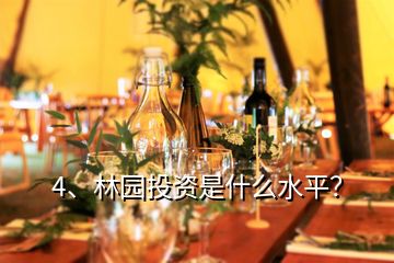 4、林園投資是什么水平？