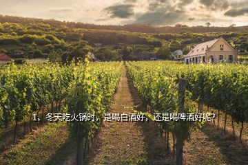 1、冬天吃火鍋時(shí)，是喝白酒好，還是喝啤酒好呢？