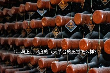1、喝正宗53度的飛天茅臺(tái)的感覺怎么樣？