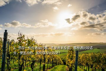 3、想存一些白酒自己喝，不是用來投資，哪種酒比較適合，便宜點的，如何保存比較好？