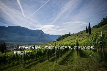 2、明天老朋友聚會，感覺醬香白酒不錯，醬香型白酒都有哪些牌子？