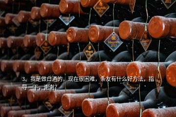 3、我是做白酒的，現(xiàn)在很困難，條友有什么好方法，指導(dǎo)一下，謝謝？