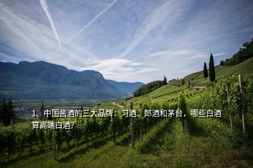 1、中國醬酒的三大品牌：習(xí)酒、郎酒和茅臺(tái)，哪些白酒算高端白酒？
