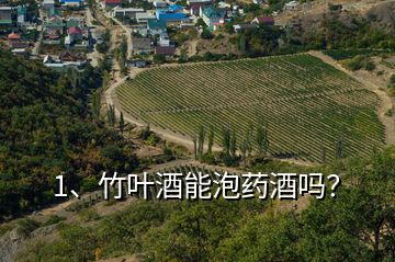 1、竹葉酒能泡藥酒嗎？
