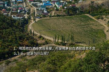 1、喝其他白酒經(jīng)常容易暈，可是喝茅臺白酒就感覺不怎么上頭，這是為什么呢？
