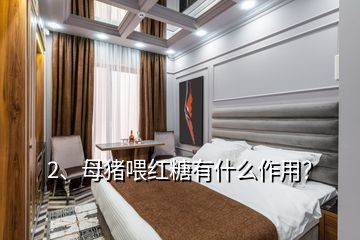 2、母豬喂紅糖有什么作用？