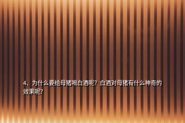 4、為什么要給母豬喝白酒呢？白酒對(duì)母豬有什么神奇的效果呢？