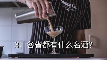 3、各省都有什么名酒？