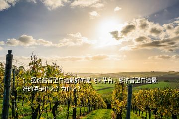 1、據(jù)說醬香型白酒最好的是飛天茅臺(tái)，那濃香型白酒最好的酒是什么？為什么？
