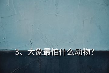 3、大象最怕什么動物？