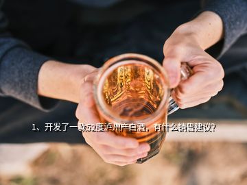 1、開發(fā)了一款52度瀘州產(chǎn)白酒，有什么銷售建議？