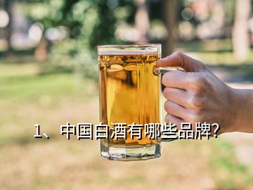 1、中國(guó)白酒有哪些品牌？