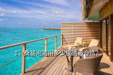 1、桑葚泡酒用多少度酒最合適？