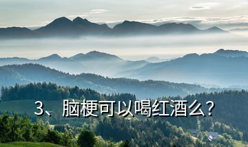 3、腦?？梢院燃t酒么？
