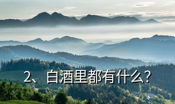 2、白酒里都有什么？