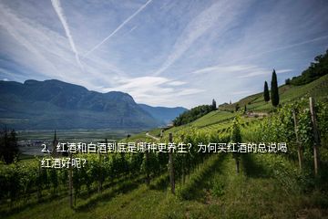 2、紅酒和白酒到底是哪種更養(yǎng)生？為何買紅酒的總說喝紅酒好呢？