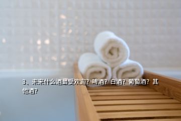 3、未來(lái)什么酒最受歡迎？啤酒？白酒？葡萄酒？其他酒？
