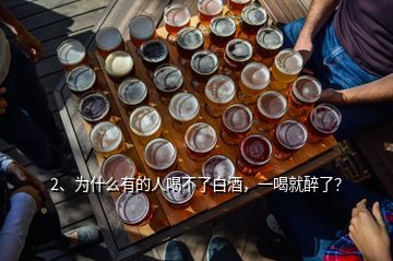 2、為什么有的人喝不了白酒，一喝就醉了？