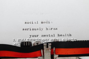 3、歐洲人喜歡中國白酒嗎？他們怎么看待中國白酒？