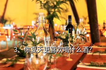 3、你夏天更喜歡喝什么酒？