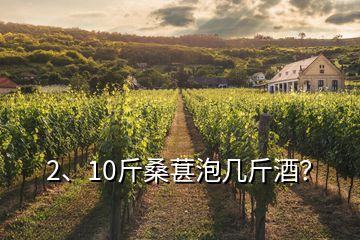 2、10斤桑葚泡幾斤酒？