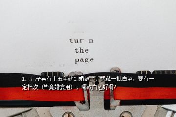 1、兒子再有十五年就到婚齡了，想藏一批白酒，要有一定檔次（畢竟婚宴用），哪款白酒好啊？