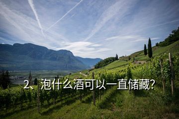 2、泡什么酒可以一直儲藏？