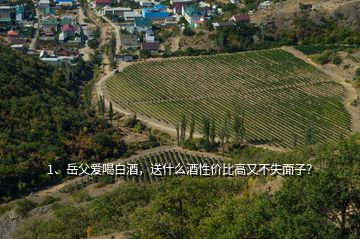 1、岳父愛喝白酒，送什么酒性價比高又不失面子？