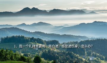 1、我一個(gè)禮拜竟要喝一瓶白酒，感覺酒傷身，怎么辦？