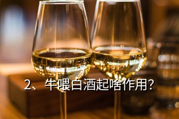 2、牛喂白酒起啥作用？