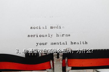 3、你最喜歡白酒什么品牌，為什么？