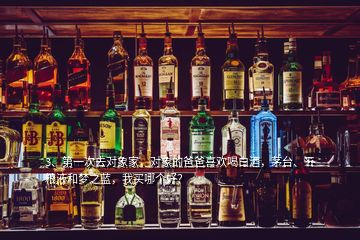 3、第一次去對象家，對象的爸爸喜歡喝白酒，茅臺、五糧液和夢之藍(lán)，我買哪個好？