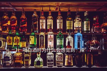 1、喝白酒時為什么會感覺到“辣”？