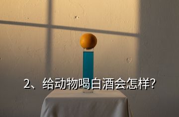 2、給動物喝白酒會怎樣？