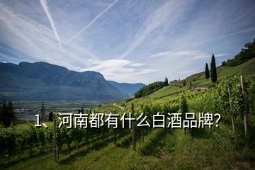 1、河南都有什么白酒品牌？
