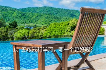 1、五糧液和洋河，哪一個更好喝？