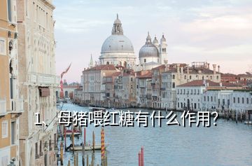1、母豬喂紅糖有什么作用？