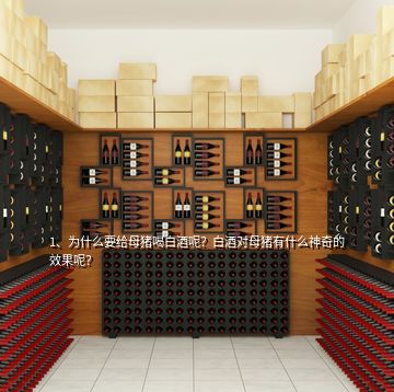 1、為什么要給母豬喝白酒呢？白酒對母豬有什么神奇的效果呢？